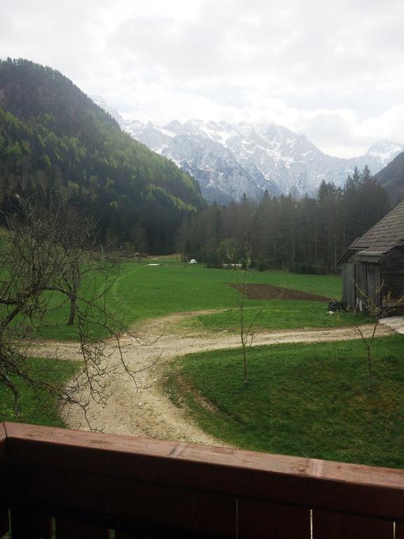 Farm Stay Juvanija Solčava Eksteriør billede