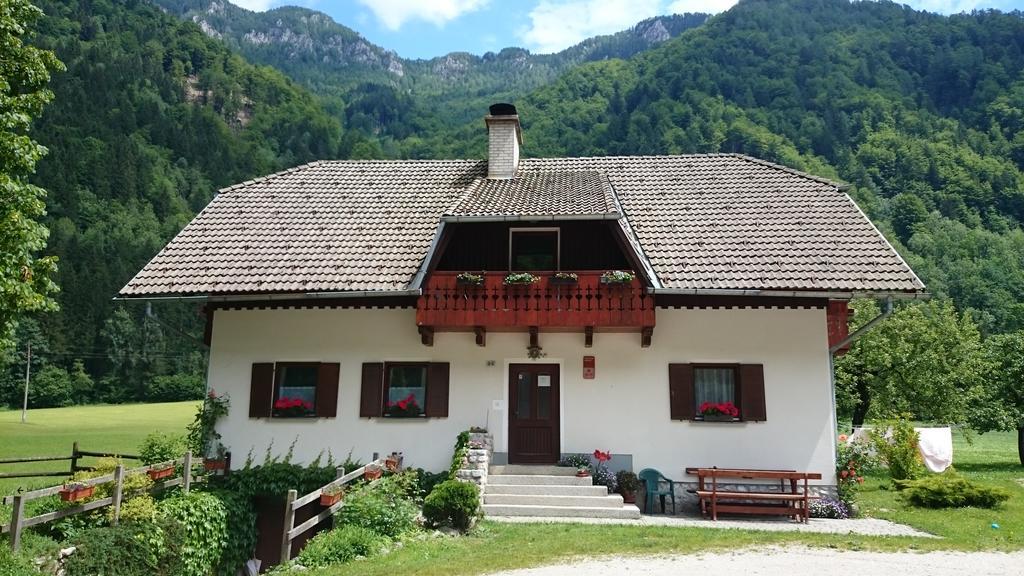 Farm Stay Juvanija Solčava Eksteriør billede