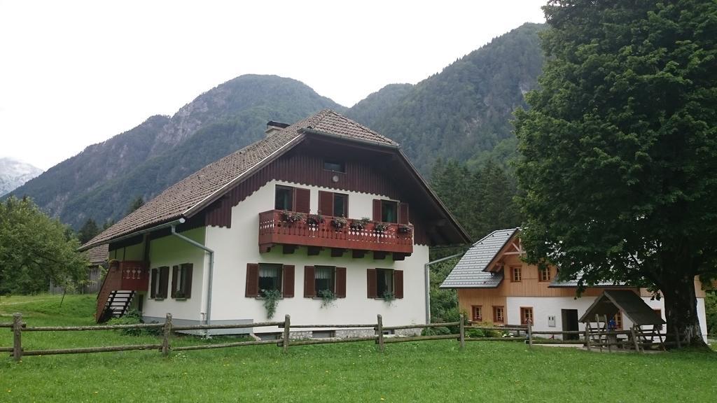Farm Stay Juvanija Solčava Eksteriør billede