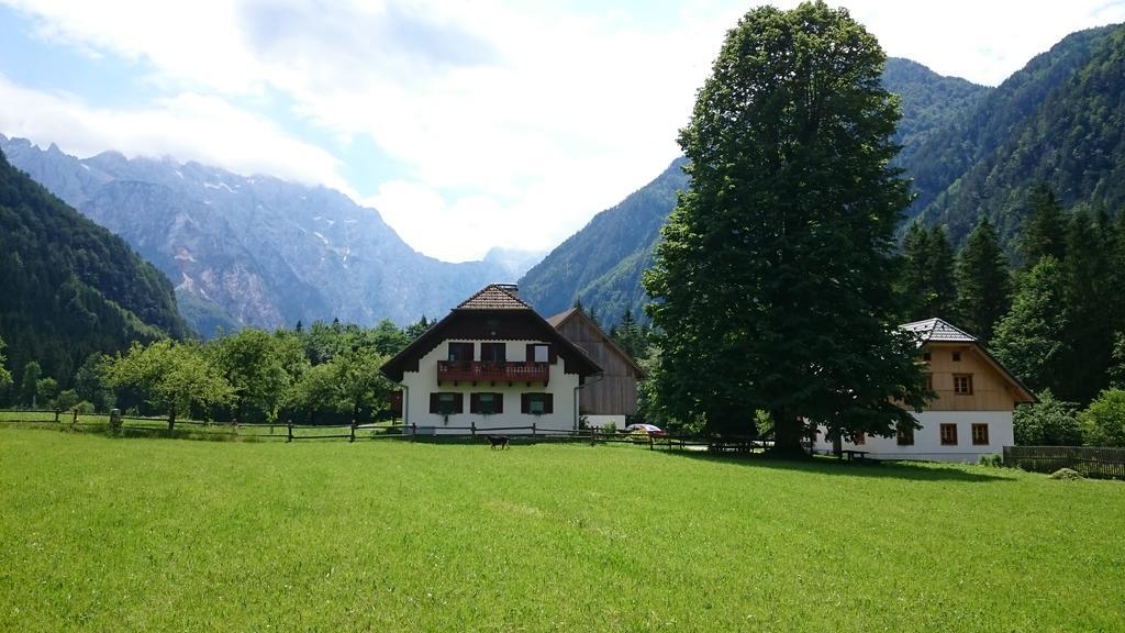 Farm Stay Juvanija Solčava Eksteriør billede