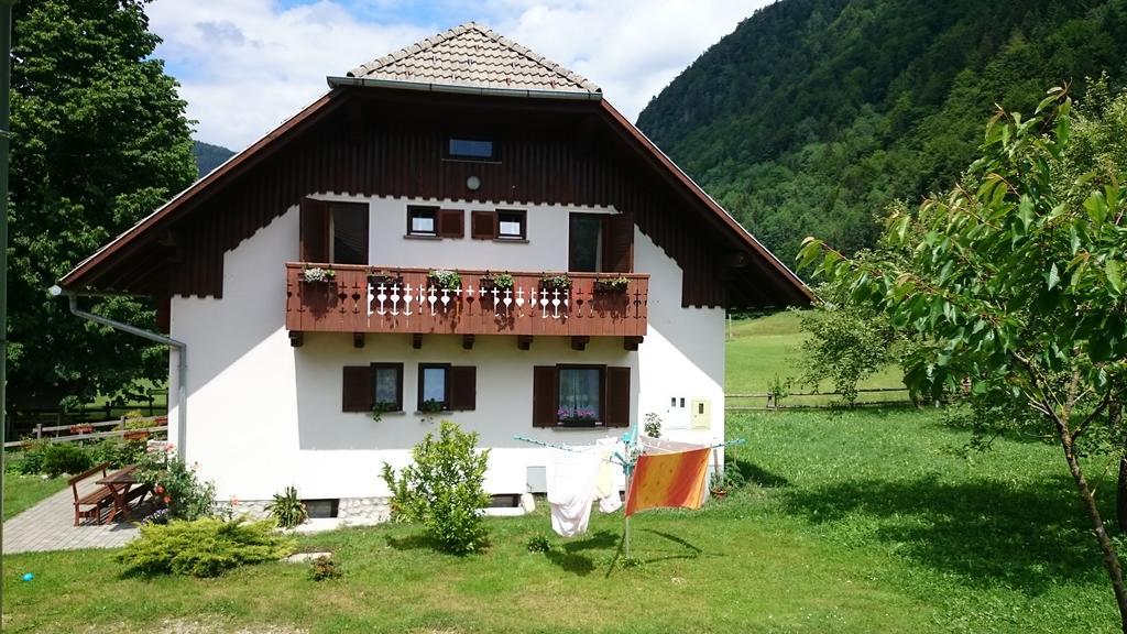 Farm Stay Juvanija Solčava Eksteriør billede